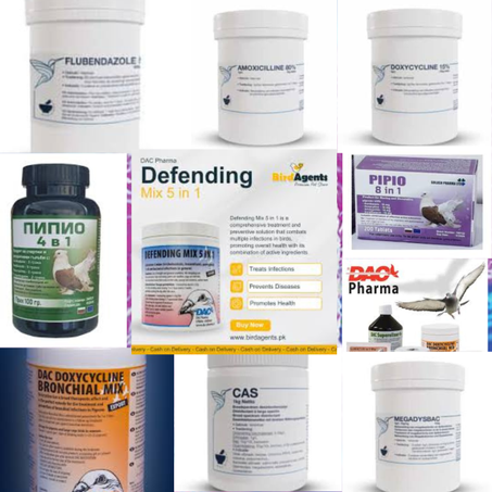 الآثار السلبية لاستخدام المضادات الحيوية على طيور