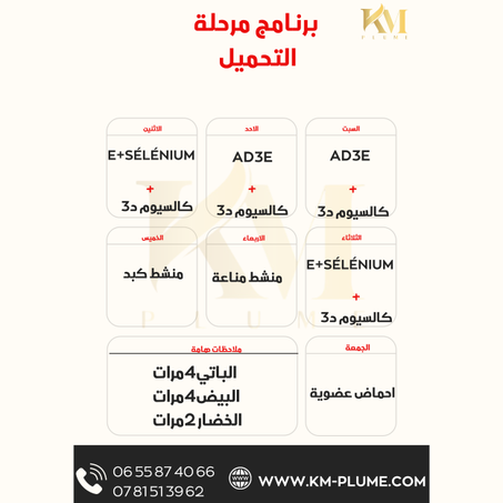 برنامج التحميل