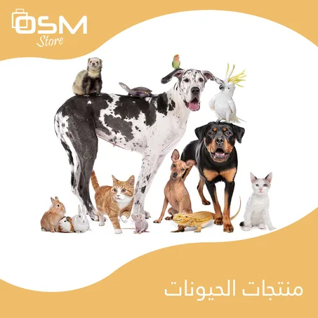 منتجات الحيوانات