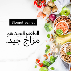 أساسيات التغذية