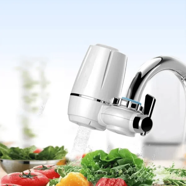 stores/2d80446a35beb5a9a5e5f09555d91348/products/9L7HEFxwQ8tgUs2EWonlBCdYMr41Jm39lqvdT0ZY.webp