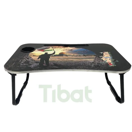 تربيزة المذاكرة والابتوب ديزني القابلة للطي