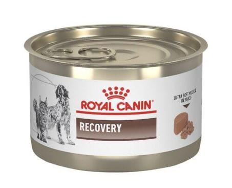Recovery Royal Canin