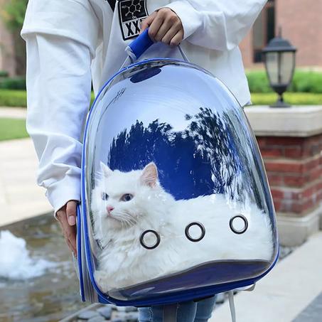 Sac à Dos Transparent pour le Transport des Chiens et Chats – Confort et Sécurité