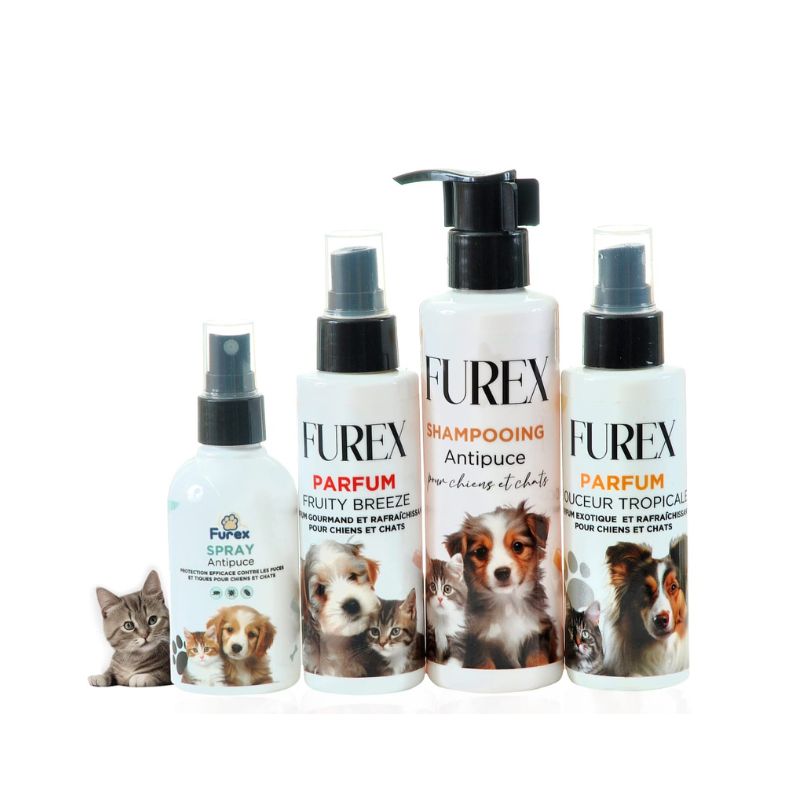 stores/2dbcc40c1ebea8696671284bbb405181/products/phKLC1BtB1s7JvvAdROgs5FDoCnlX7QDDK72Rf1m.jpg