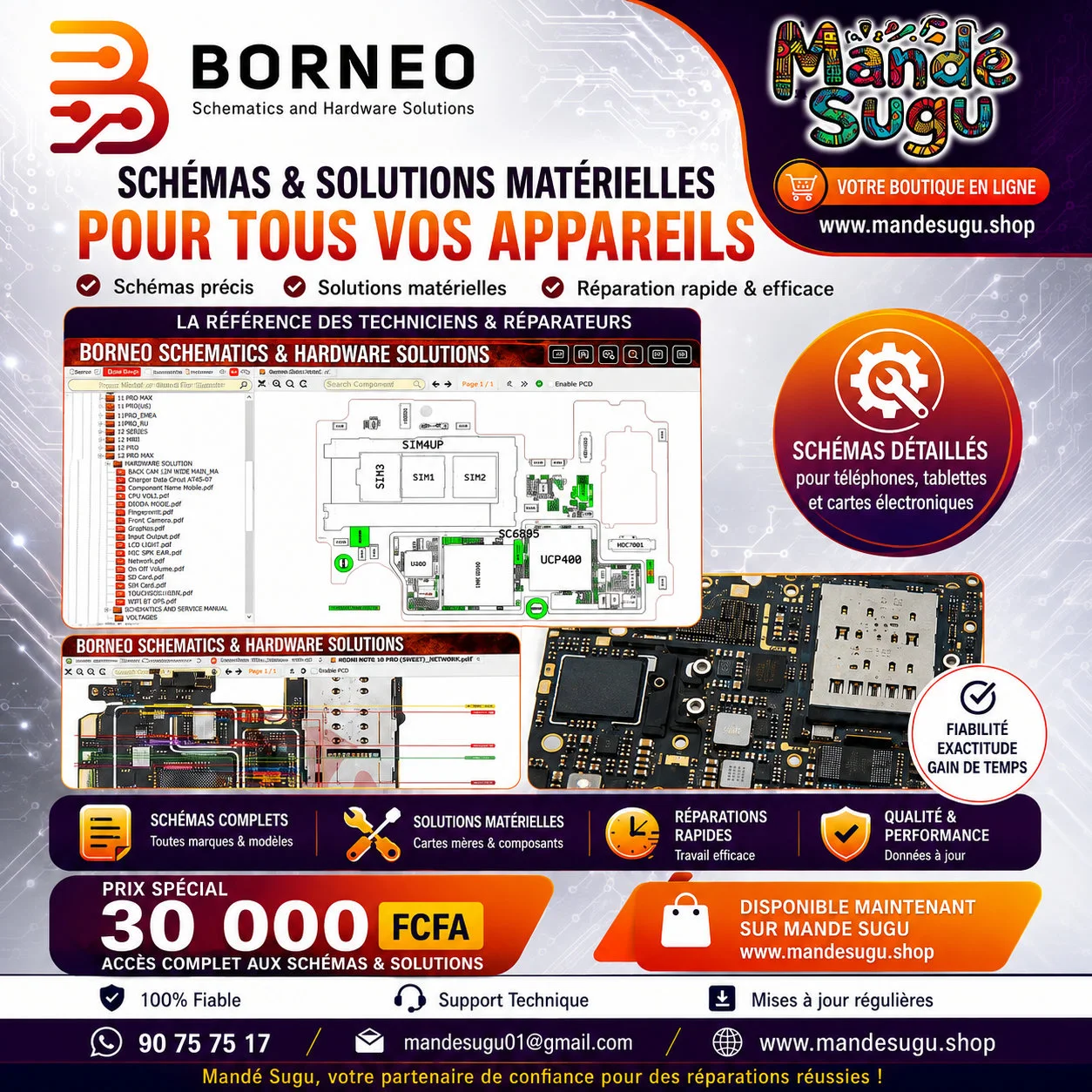 Borneo Schematic