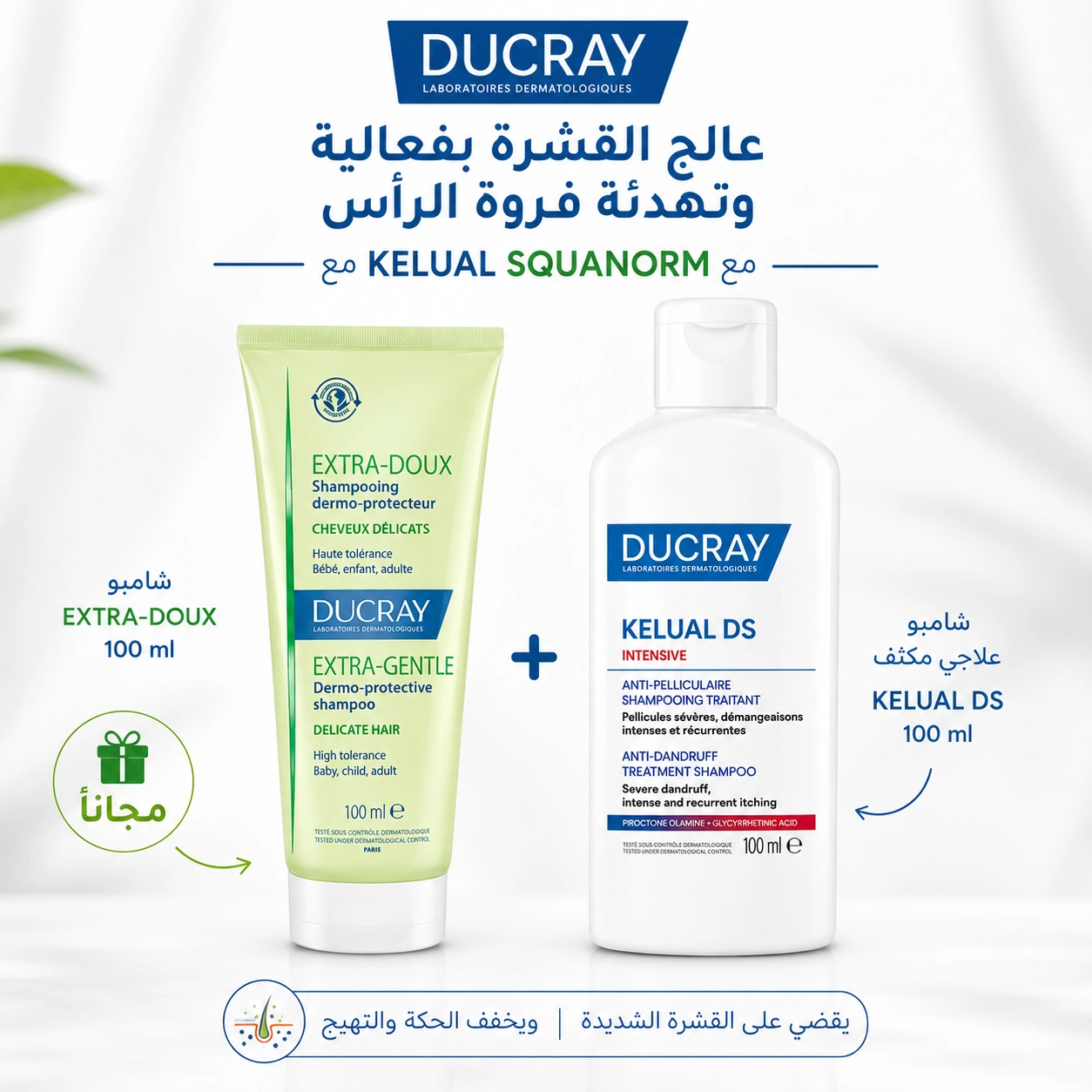 Ducray KELUAL DS 100ml + Shampooing Extra-Doux 100ml 🎁 Offert