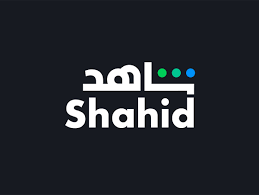 SHAHID ACCOUNTS