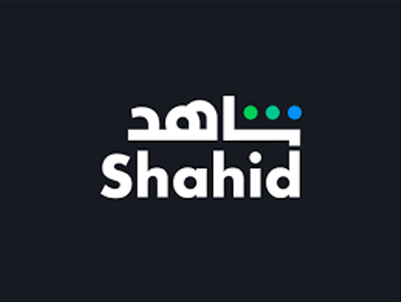 SHAHID ACCOUNTS