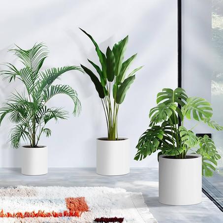 Jardinières Modernes pour Extérieur