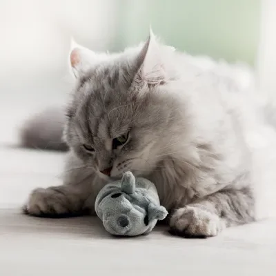 Ratón de juguete Valerio de Aumüller con espelta y valeriana para gatos