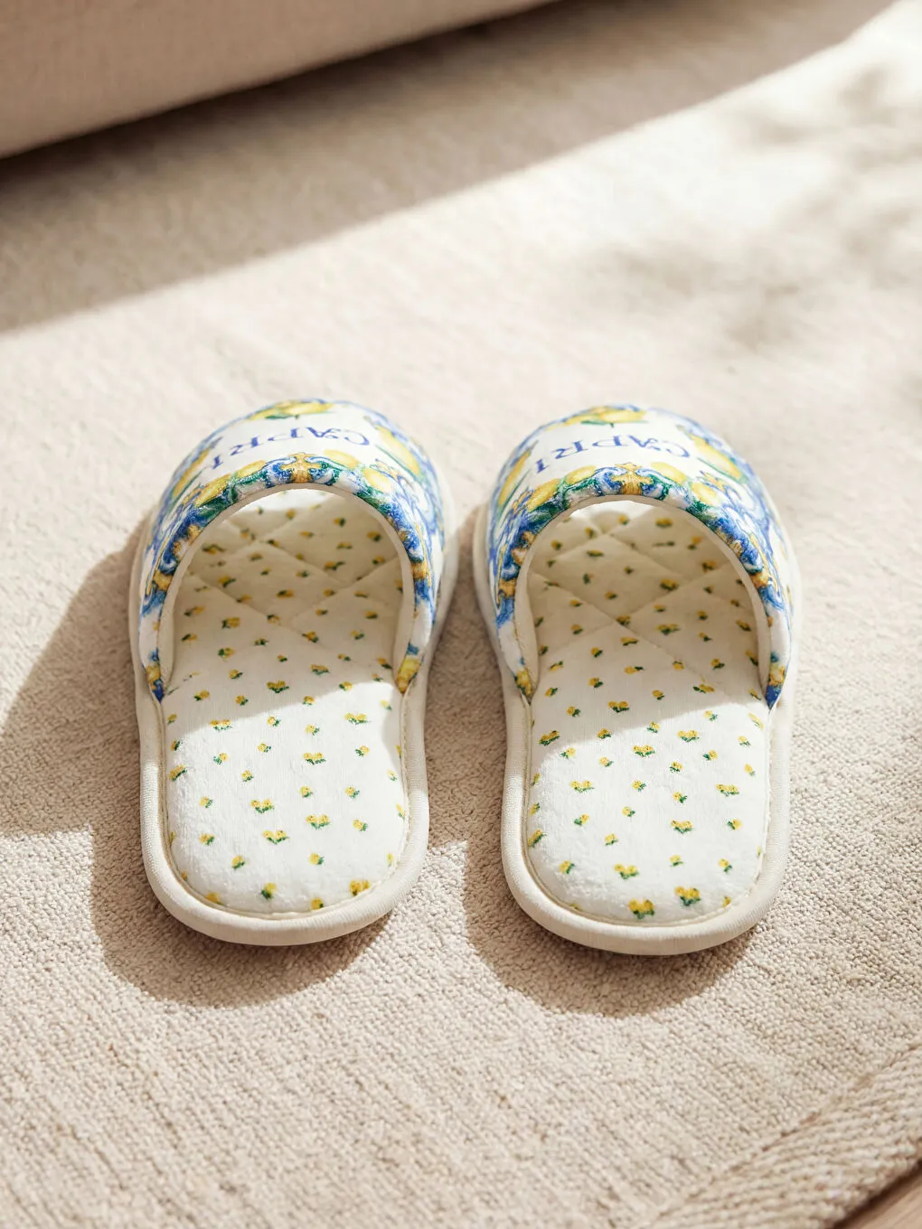 Pantoufles d'intérieur pour femmes