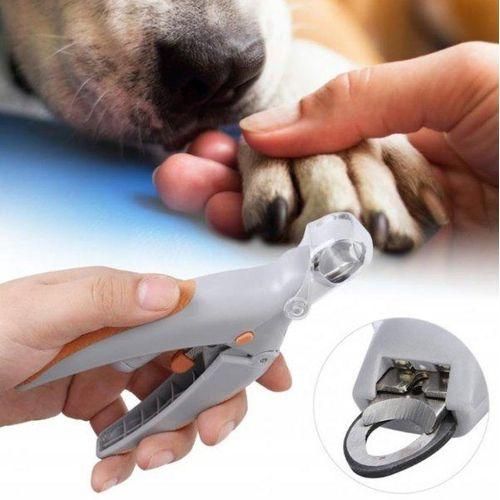 Ciseaux à Angles Pour Animaux De Compagnie
