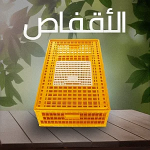 صندوق النقل