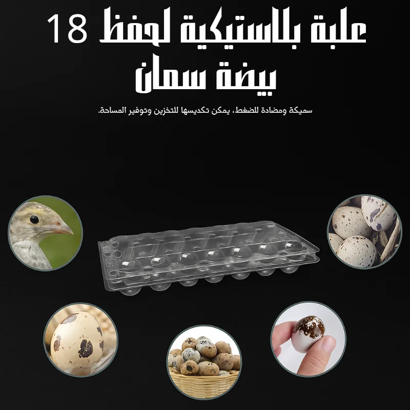 بلاطو بيض السمان – 1000 علبة بلاستيكية كل وحدة تحمل 18 بيضة