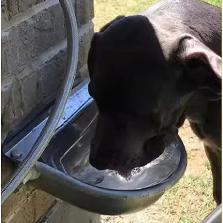 سقاية أوتوماتيكية من الستانلس ستيل – مثالية للكلاب 🐶، الأبقار ، الماعز 🐐 والأغنام