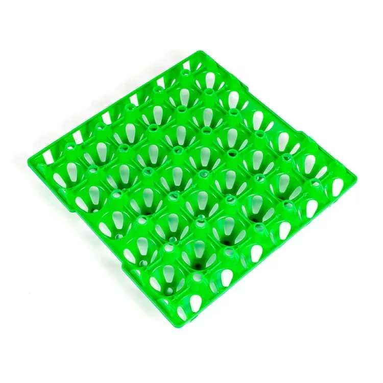 حامل البيض سعة 30 بيضة