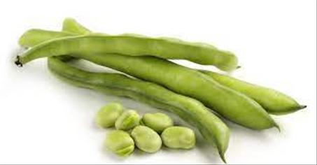 الفول الأخضر