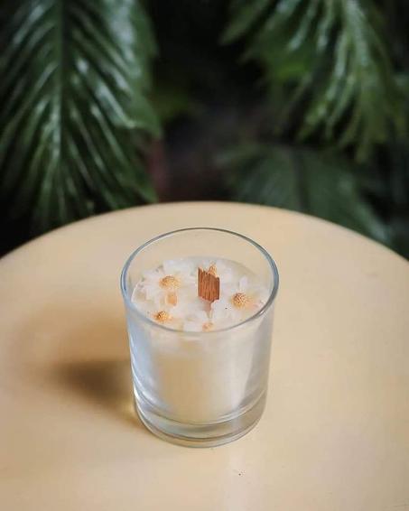 شمعة عباد الشمس