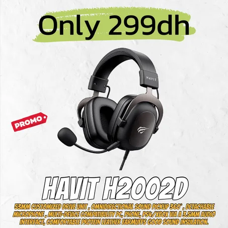 HAVIT H2002D