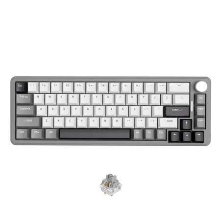GM68-V2 Mechanical Silver Switch [White]