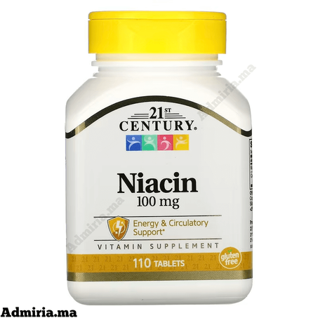 21st Century Vitamin B3 Niacin 100 mg 110 Tablet