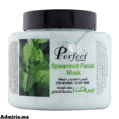 Perfect Spearmint Facial Mask 500 ml
