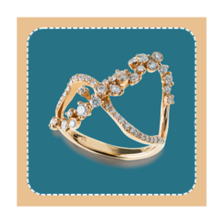 الاكسسوارات