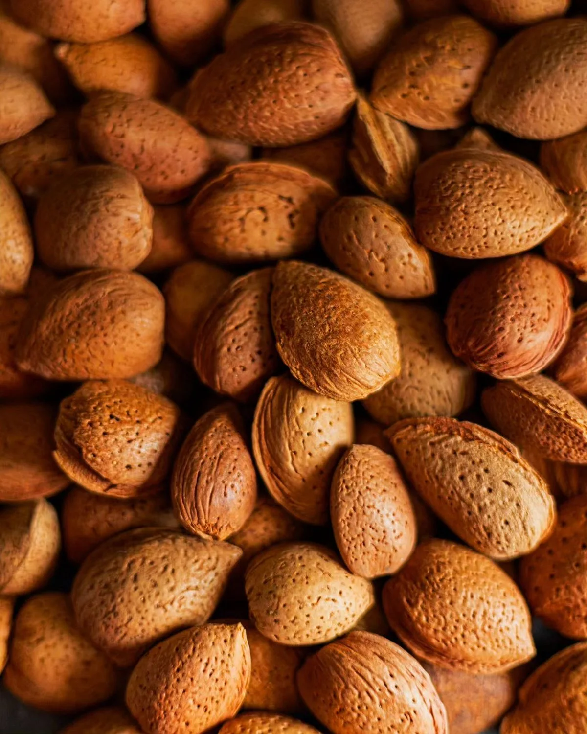 لوز طبيعي فاخر – جودة مختارة بعناية