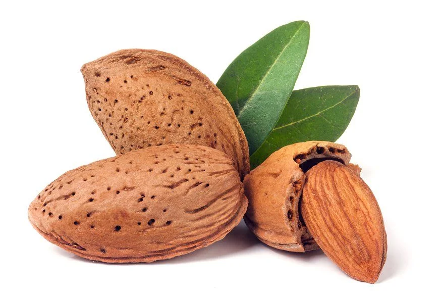 لوز طبيعي فاخر – جودة مختارة بعناية