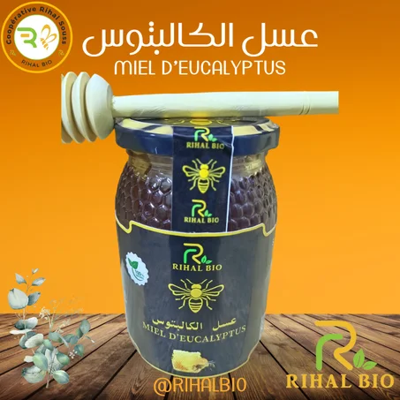 عسل الاوكاليبوس - Miel d'Eucalyptus