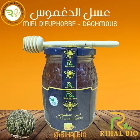 عسل الدغموس - Miel d'Euphorbe