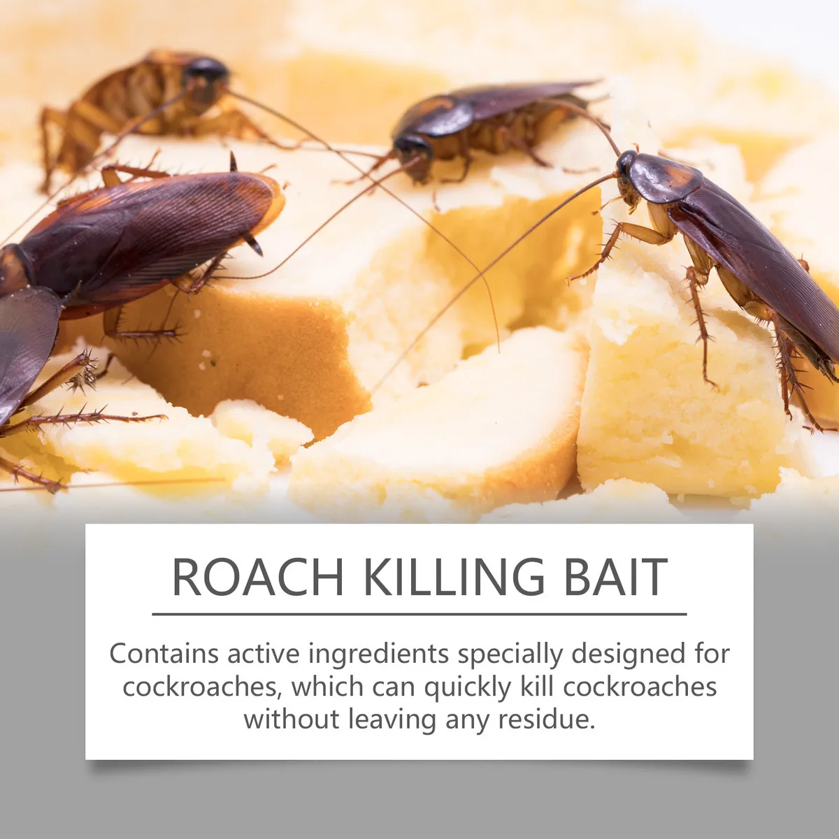 Ultimate Roach Defense™ – 16-Piece Long-Lasting Bait Set