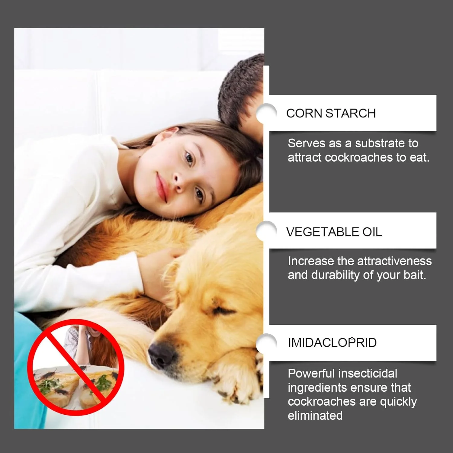 Roach Ace™ Bait Stations — End Cockroach Infestations for Good