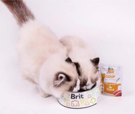 Brit Food : Croquettes Patés et friandises