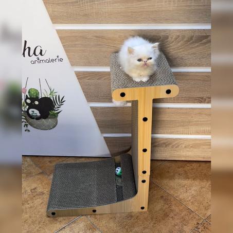 Arrivage Juillet part 2