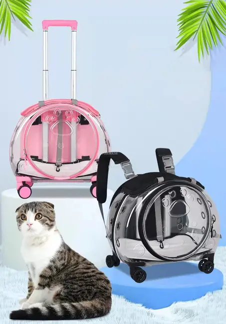 Valises de transport