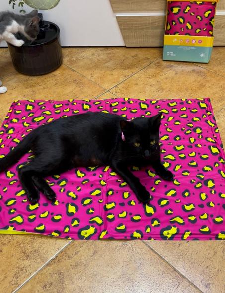 حصيرة مبردة للقطط و الكلاب الصغيرة Tapis Rafraichissant Cooling pads