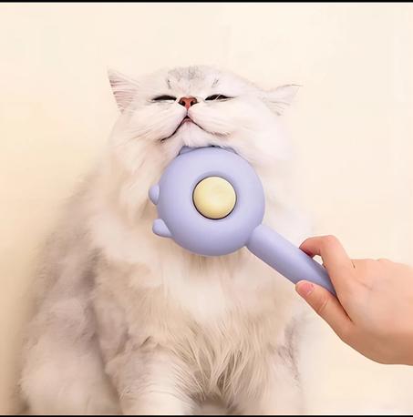 Brosse Pour chats مشط للقطط