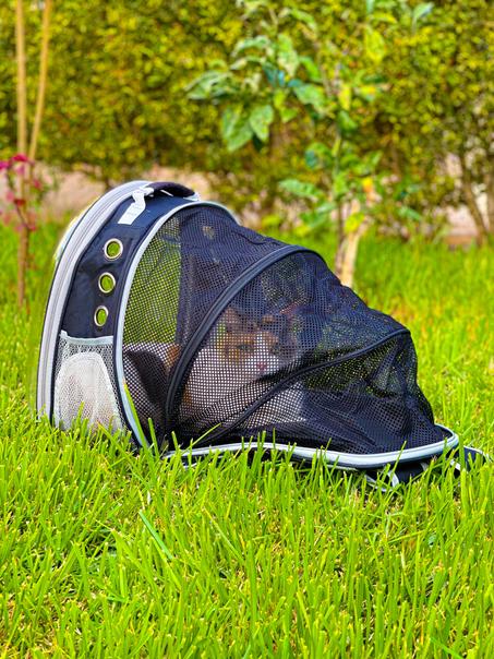 حقيبة ظهر لنقل القطط - قابلة للاتساع  - Sac à dos extensible