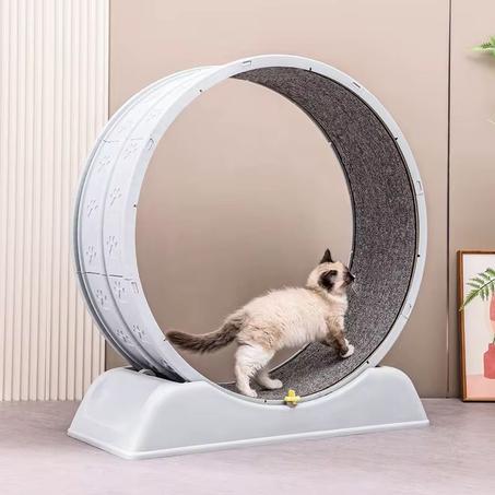 Roue d'exercice pour chat l Cercle Roulant  l Tapis roulant