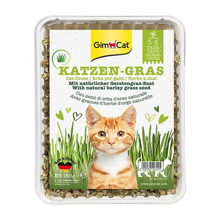 GimCat Herbe à chat