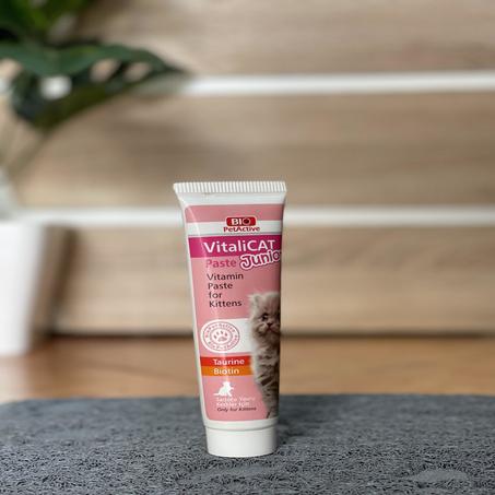 فيتامين للقطط الصغيرة - Pâté VitaliCAT Junior BioPet Active | Vitamine Paste pour chatons 100 ml
