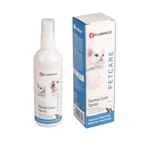 SPRAY HYGIÈNE DENTAIRE MENTHE - SPRAY 170 ML