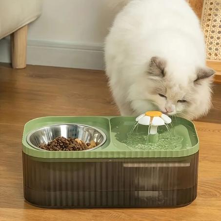 Fontaine à eau avec bol de nourriture