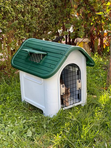 Maison Maisonnette en plastique pour extérieur avec porte optionnelle  pour les animaux de compagnie