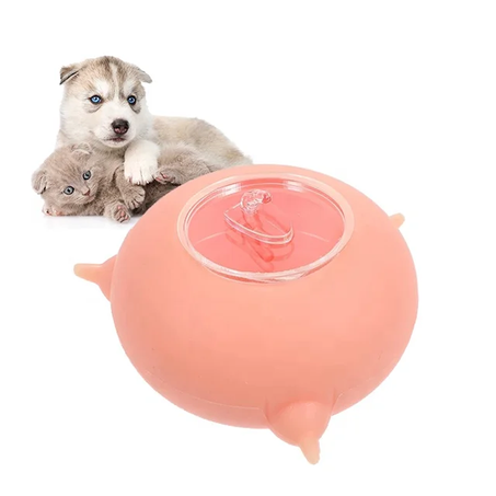 Biberon en silicone avec 4 mamelons pour chaton et chiots nouveaux nés