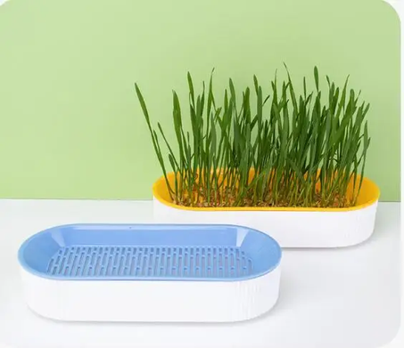 Bol pour Herbe à chat 5 sachets de graines