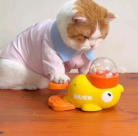 Jouet interactif pout chat Jouet oiseau distributeur de friandises croquettes