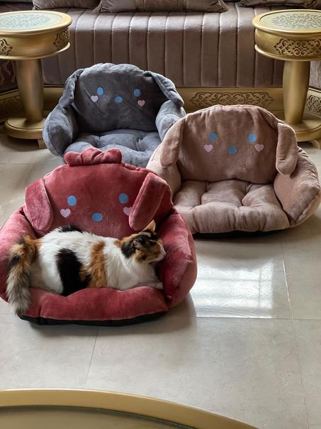Feuteille pour chat أريكة للقطط